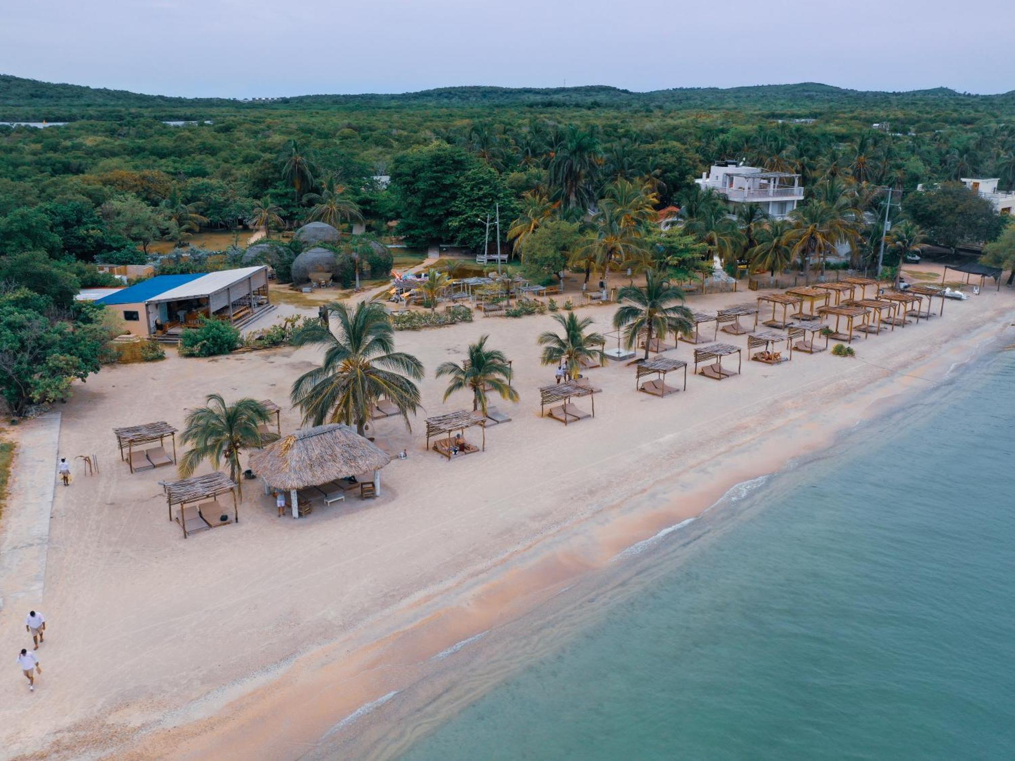 Fenix Cartagena